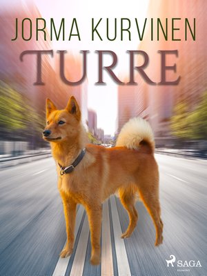 cover image of Turre